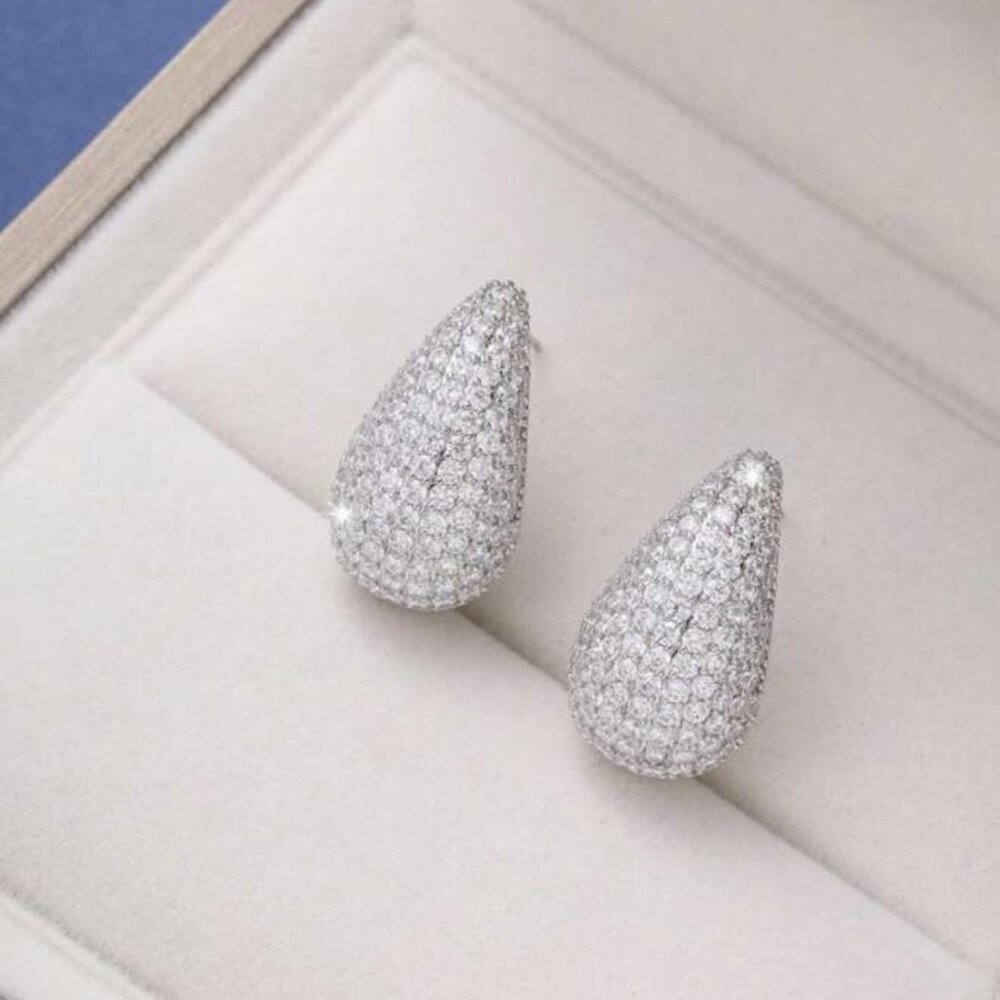 Elegant Silver Shiny Earrings For Women